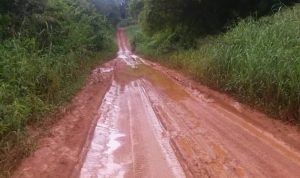 Cameroun – Infrastructures routières : Campo coupée du reste du pays.
