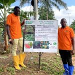 Cameroun – Agroalimentaire : L’entreprise « Les vierges d’Afrique » veut booster la production fruitière nationale.