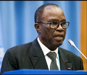 Cameroun – Exploitation de la biodiversité : Hele Pierre présente les opportunités de la loi APA