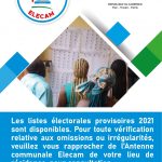 Élections Cameroon : le Directeur Général Érik Essoussè affiche les listes électorales provisoires.