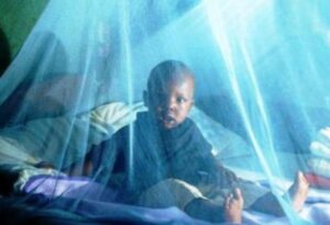 Cameroun – Lutte contre le paludisme : 475 493 ménages reçoivent des moustiquaires dans la région du Nord.