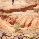 Cameroun – Plan d’actions 2020-2030 :Le gouvernement recherche 1200 milliards de FCFA pour la restauration des 12 millions d’hectares de terres dégradées.