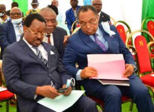 Cameroun – Elections sénatoriales du 12 mars 2023 : La razzia programmée du Rdpc.