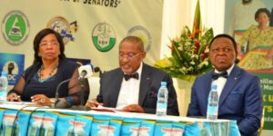 Cameroun – Sénatoriales 2023 : Un autre challenge pour Élections Cameroon.