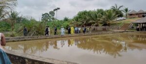 Cameroun – Ministère de l&rsquo;environnement : Cap sur la restauration des zones humides.