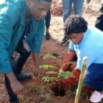 Cameroun – Préservation de l’environnement à la Commune de Mbandjock : Le cheval de bataille de madame le Maire Angèle Nyango’o Bikme.