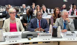 Organisation mondiale de la santé (OMS) : Le Cameroun porte désormais la voix de l&rsquo;Afrique.