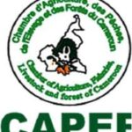 Cameroun – Salon Industriel et Commercial Chine-Afrique Francophone : La première édition c’est du 28 Août au 1er septembre 2023.