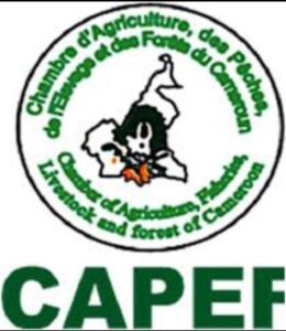 Cameroun – Salon Industriel et Commercial Chine-Afrique Francophone : La première édition c&rsquo;est du 28 Août au 1er septembre 2023.