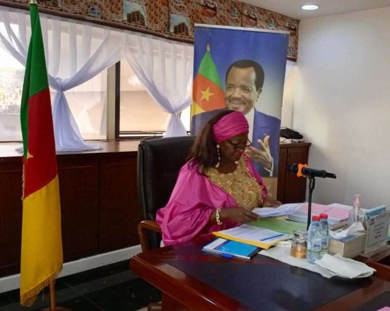 Cameroun - Société immobilière du Cameroun : Un budget de 21 milliards ...
