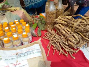 Cameroun – Premier Forum National sur les Ressources Génétiques : Mobilisation exceptionnelle de toutes les parties prenantes à Yaoundé.