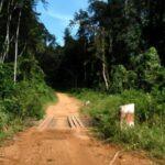 Cameroun – Entretien de la route Yabassi–Yingui (31,10km) : 80% de taux d&rsquo;avancement des travaux.