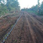 Cameroun – Plan Intégré d’Import-Substitution Agropastoral et Halieutique (PIISAH) : le MINTP identifie 13 axes routiers dans la région de l’Adamaoua.