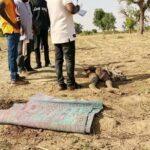Cameroun – Extrême-Nord : Les éléphants font un mort à Mindif.