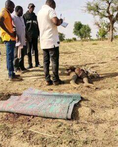 Cameroun – Extrême-Nord : Les éléphants font un mort à Mindif.