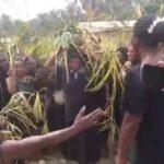 Cameroun – Lutte contre la drogue dans la Manyu : Les femmes descendent dans la rue à Mbeme.