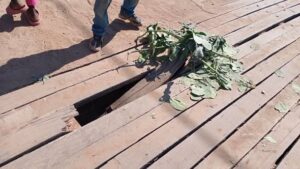 Cameroun – Péril à Yagoua : Le pont sur le Danay oublié deux ans après son effondrement.