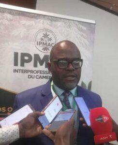Cameroun – Filière manioc (IPMAC) : Un des piliers majeurs de l&rsquo;économie se structure à Douala.