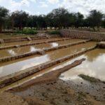Tchad – Projet RESITCHAD : L&rsquo;espoir des agriculteurs de Tcharaw.