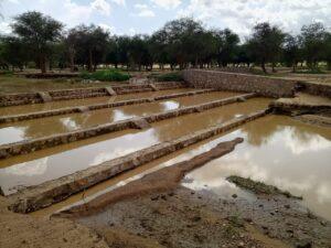 Tchad – Projet RESITCHAD : L&rsquo;espoir des agriculteurs de Tcharaw.