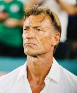 Côte d&rsquo;Ivoire – Football : Hervé Renard nommé sélectionneur national.
