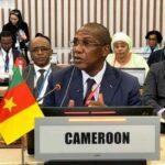 Cameroun – Production locale des médicaments : Vers le développement de l&rsquo;industrie pharmaceutique.