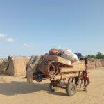 Cameroun – Insécurité dans l&rsquo;Extrême-Nord : Des dizaines de familles fuient Boko Haram et se réfugient à Hilé-Alifa.
